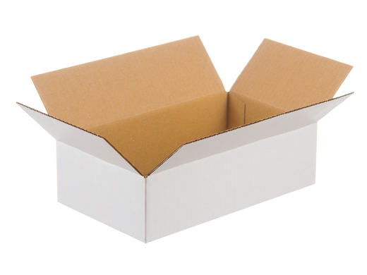 Karton klapowy 300x200x100mm 3W B 360g/m2 Biały Paczka 240 szt.