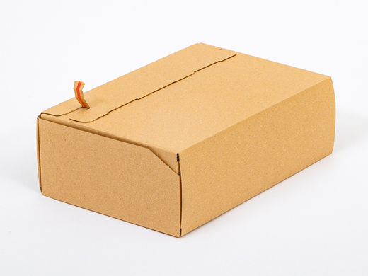 Karton fasonowy z podwójnym paskiem klejowym i tasiemką zrywającą 350x250x80mm 3W E 340g/m2 Szary Paleta 2100 szt.