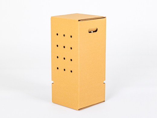 Wysoki karton do wysyłki roślin z otworami i uchwytami 250x250x550mm wew. 5W EB 580g/m2 Szary Paleta 400 szt.