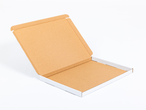 Karton fasonowy 320x220x20mm 3W E 370g/m2 Biały Poczta Polska List ...
