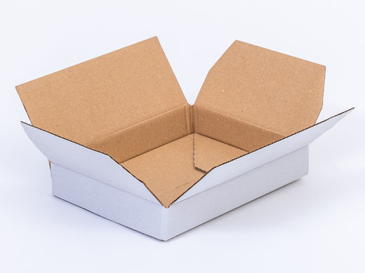 Karton klapowy 250x200x50mm 3W B 360g/m2 Biały Paleta 1440 szt.