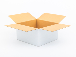 Karton klapowy 450x450x250mm 3W B 360g/m2 Biały Komplet 10 szt.