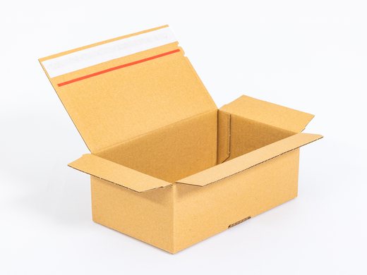 Karton fasonowy z paskiem klejowym i tasiemką zrywającą 250x150x100mm 3W B 320g/m2 Szary Komplet 20 szt.