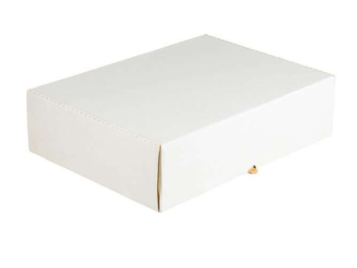 Karton fasonowy 244x159x44mm 3W E 390g/m2 Biały-Biały Komplet 10 szt.