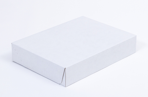 Karton fasonowy z paskiem klejowym i tasiemką zrywającą 400x300x80mm 3W E 350g/m2 Biały Zestaw palet 2520 szt.