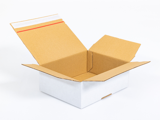 Karton fasonowy z paskiem klejowym i tasiemką zrywającą 250x200x100mm 3W B 360g/m2 Biały Zestaw palet 5520 szt.