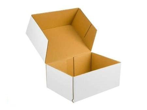 Karton fasonowy 200x120x80mm 3W E 350g/m2 Biały Komplet 20 szt.