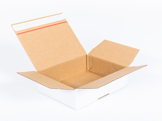 Karton fasonowy z paskiem klejowym i tasiemką zrywającą 250x200x80mm 3W B 360g/m2 Biały Paczka 180 szt.