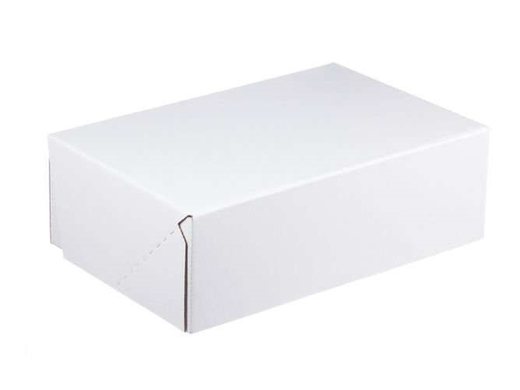 Karton fasonowy 300x200x100mm 3W E 370g/m2 Biały Komplet 20 szt.