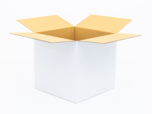 Karton klapowy 500x500x500mm 5W EB 630g/m2 Biały Komplet 10 szt.