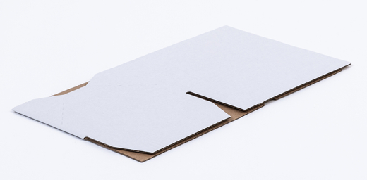 Karton klapowy 250x200x50mm 3W B 360g/m2 Biały Paczka 360 szt.