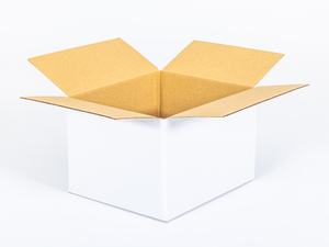 Karton klapowy 300x250x200mm 3W B 360g/m2 Biały Komplet 20 szt.