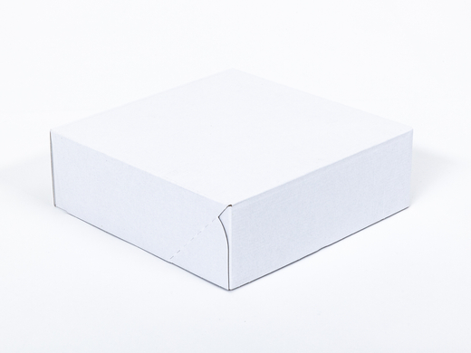 Karton fasonowy 300x300x100mm 3W E 420g/m2 Biały-Biały Paczka 120 szt.