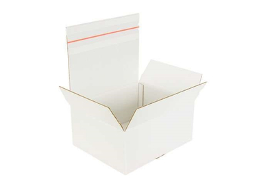 Karton fasonowy z paskiem klejowym i tasiemką zrywającą 300x250x150mm 3W B 440g/m2 Biały-Biały Komplet 20 szt.