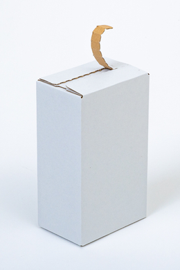 Karton fasonowy z paskiem klejowym i tasiemką zrywającą 200x120x80mm 3W E 350g/m2 Biały Paczka 680 szt.